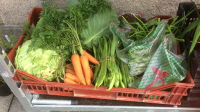 Veg Box